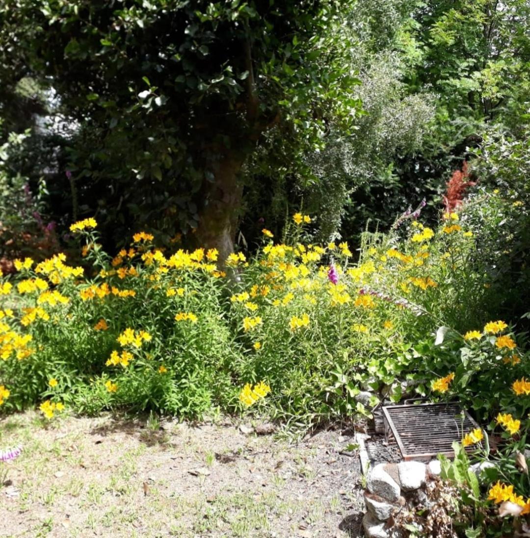 הוילה וילה לה אנגוסטרה Tierras Del Sur I Un Calido Lugar מראה חיצוני תמונה